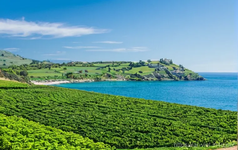 베트남 전통 악기 단바우 - Here are three detailed image generation prompts in English, keeping all your essential guidelines i... 베트남 전통 악기 단바우 - Here are three detailed image generation prompts in English, keeping all your essential guidelines i...